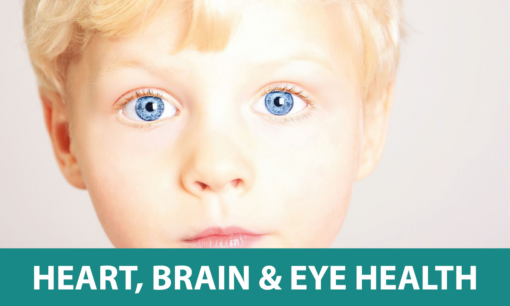 Heart-Brain-Eye-Health